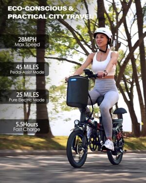 Commercial motorized bicycle - 图片 2