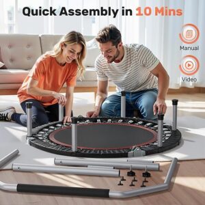 Folding Trampoline - 图片 6
