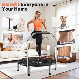 Folding Trampoline - 图片 3