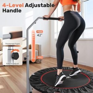 Folding Trampoline - 图片 2