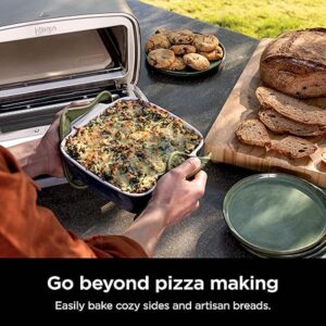 Pizza oven - 图片 3