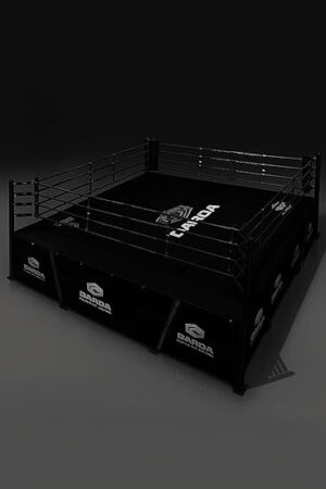 Boxing Ring - 图片 3