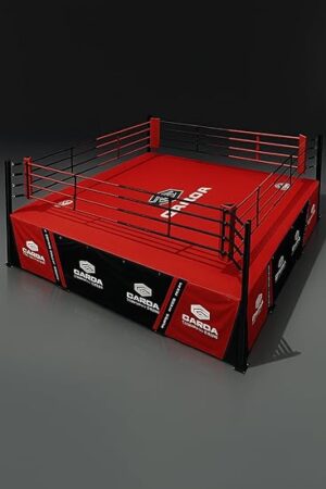 Boxing Ring - 图片 2