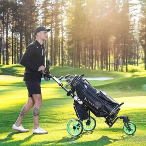Golf Cart - 图片 2